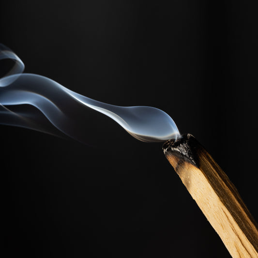 Premium Palo Santo Wooden Sticks (50g)
