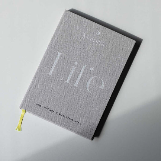 Daily Agenda x Well-being Diary