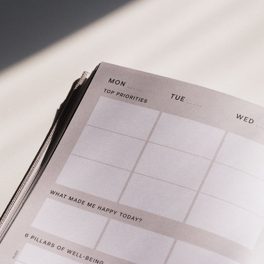 Daily Agenda x Well-being Diary